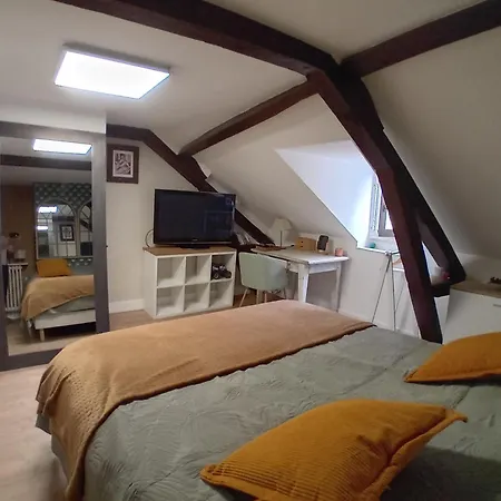 Apartmán Coeur Historique - Cosyhome 18 - Parking A Proximite